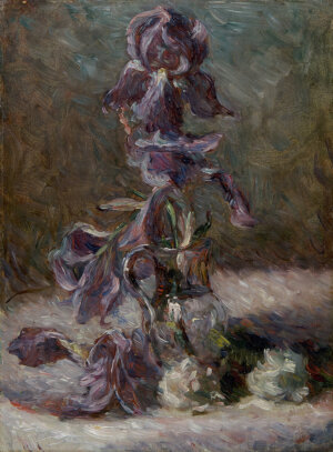 iris in a vase
