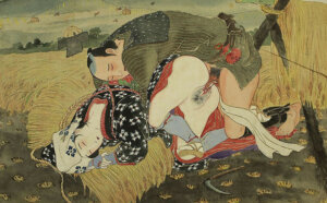 the rice field
