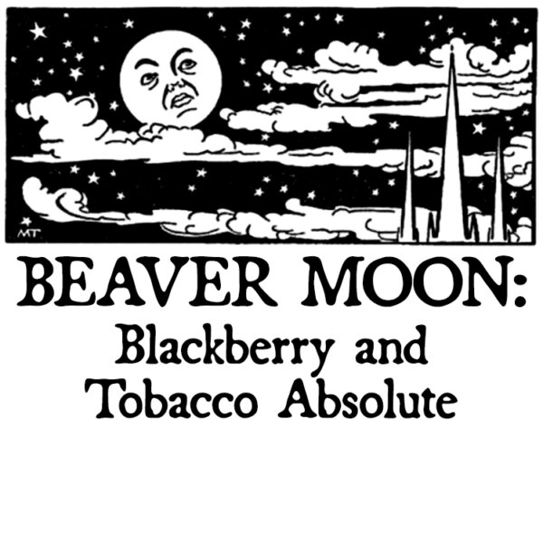 Beaver Moon: Blackberry and Tobacco Absolute Perfume Oil